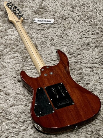 Soloking E-160 Custom Edge Series in Honeyburst with Blue Stripe