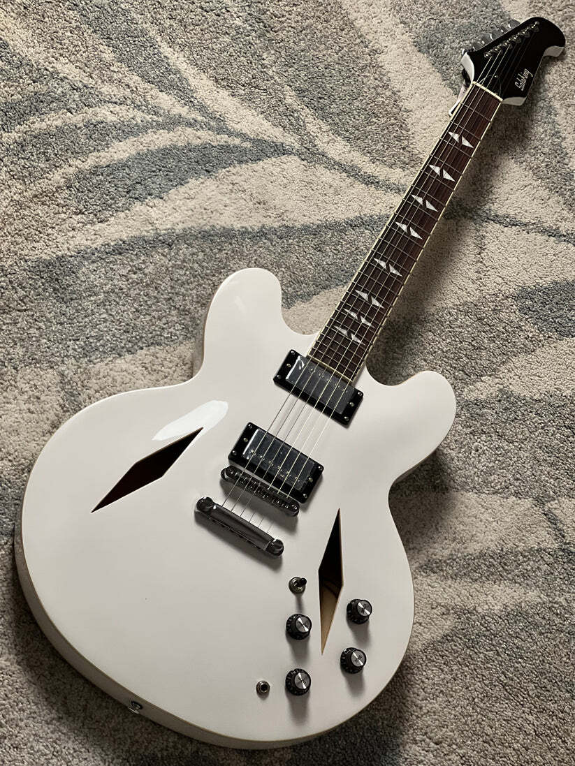 Soloking SDG-335 Dave Grohl Style Tribute in Alpine White