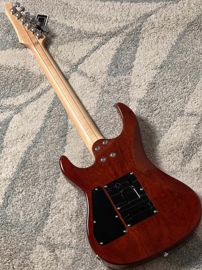 Soloking E-160 Custom Edge Series in Honeyburst with Blue Stripe Limited Edition